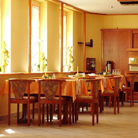 Siegmar Im Geschäftshaus