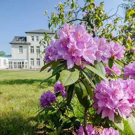 Siegmar Im Geschäftshaus