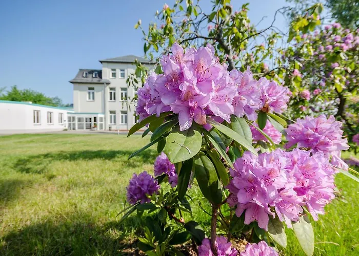 Siegmar Im Geschaftshaus
